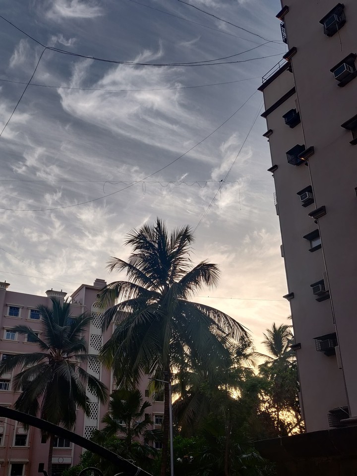 skyscape