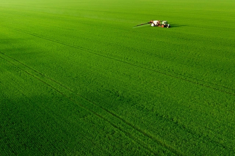 grassland, crop Hintergrundbilder