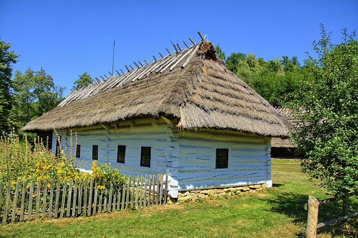rustic thatched cottage and garden