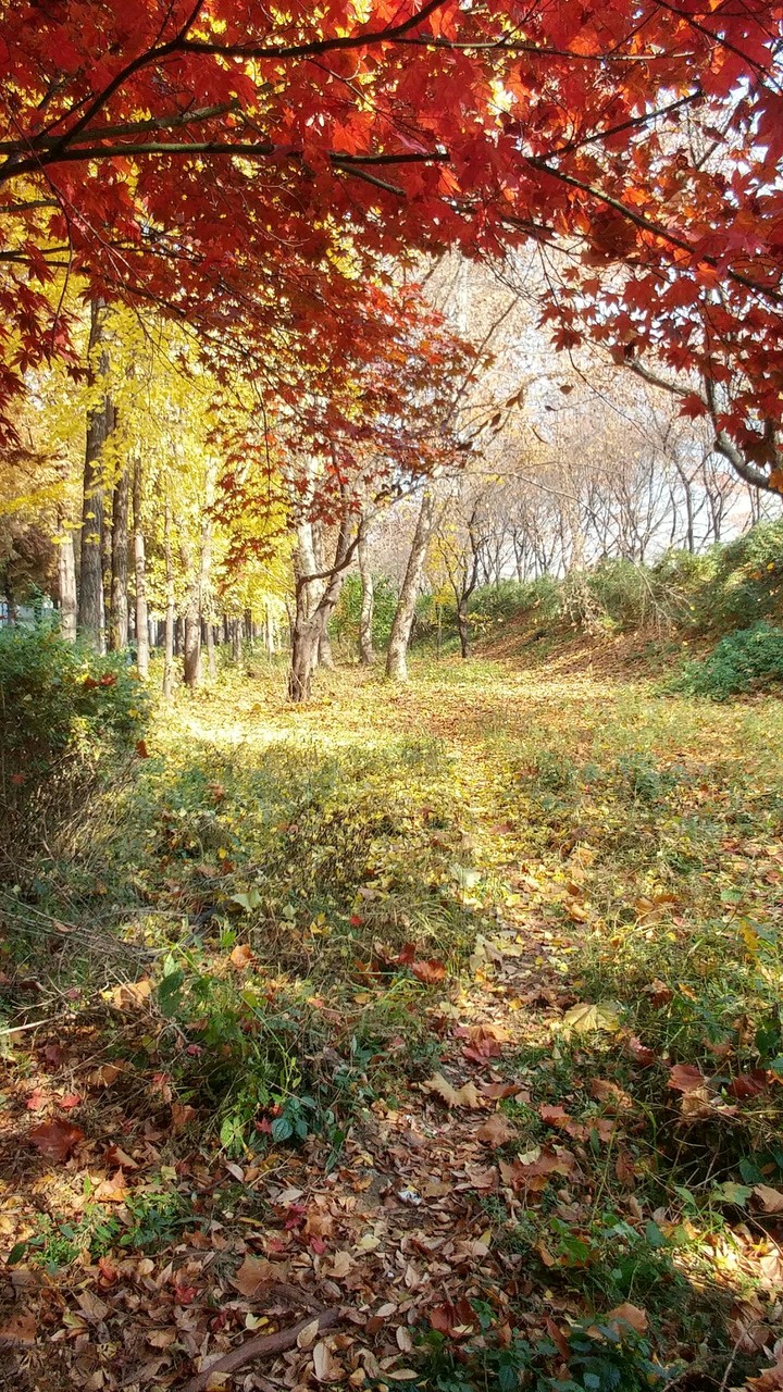 가을