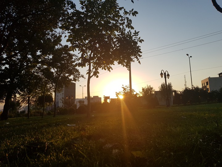 peace