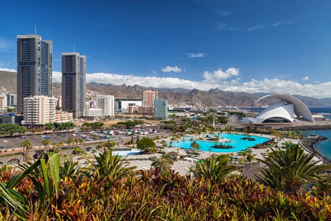 sfondi tenerife, arecales