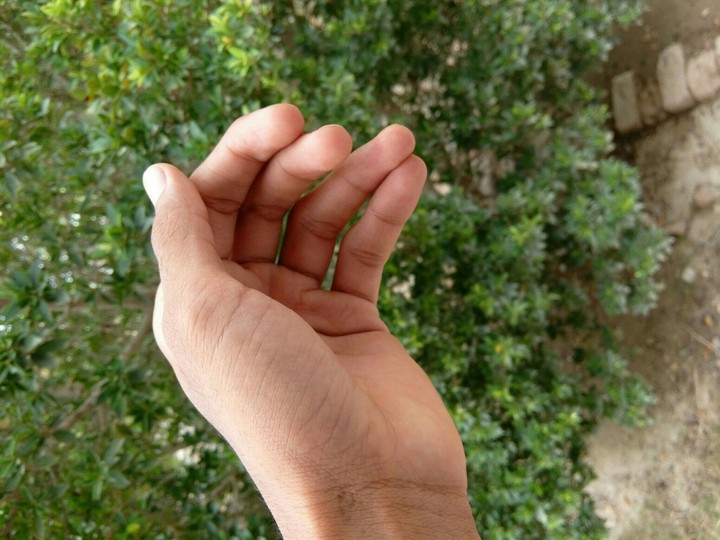 Hand ✋