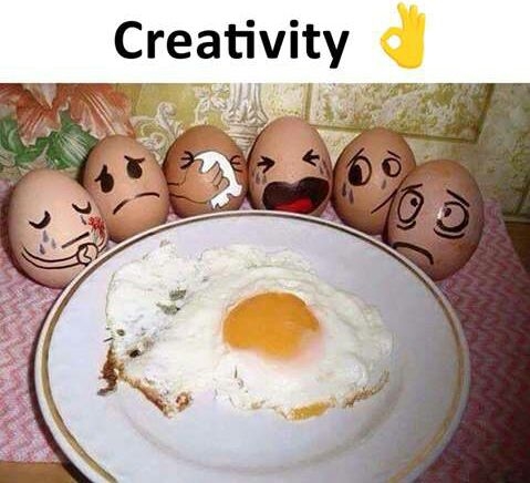 eggs