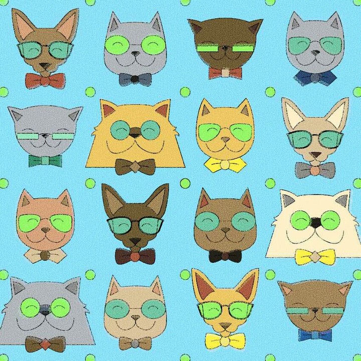 gatos