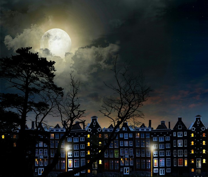 The night show