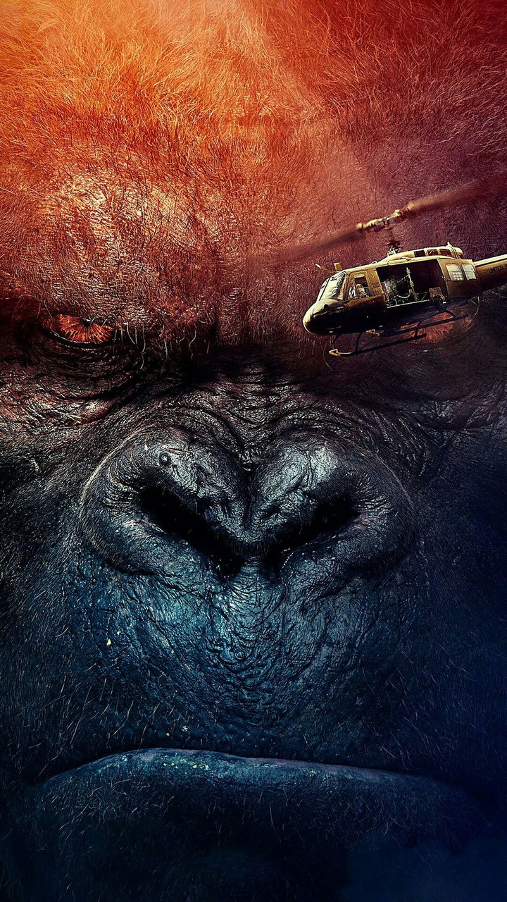 Kong