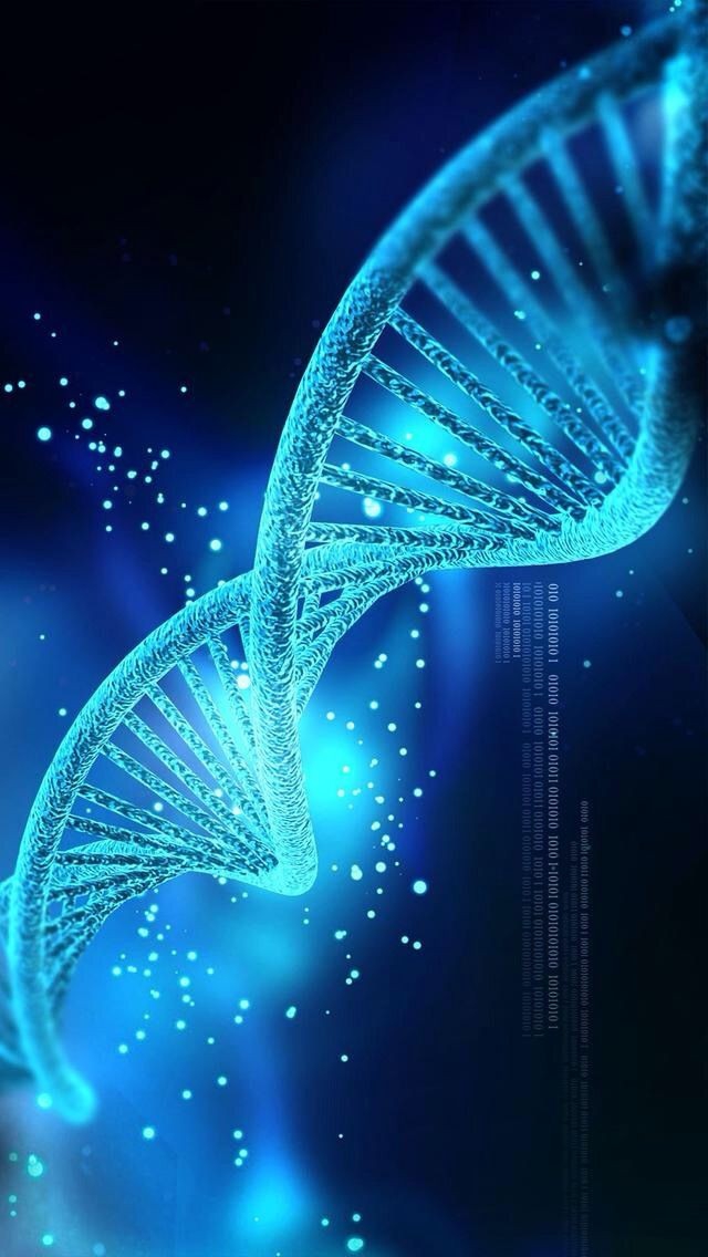 ADN