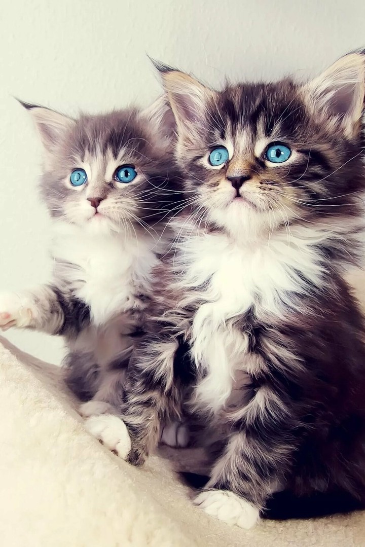 ❤