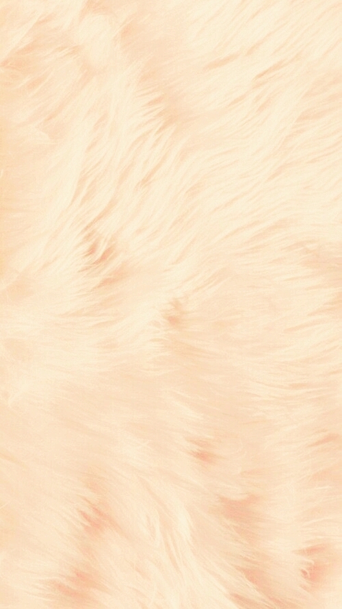 Peludo