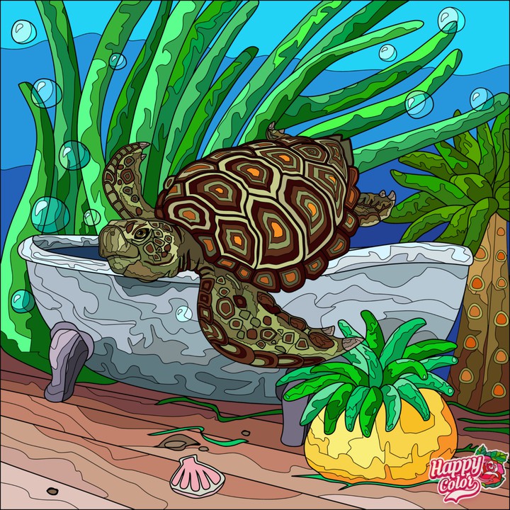 Tartaruga