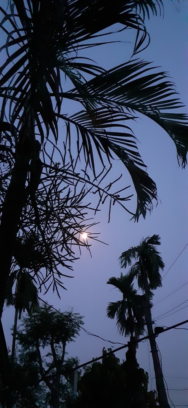 night