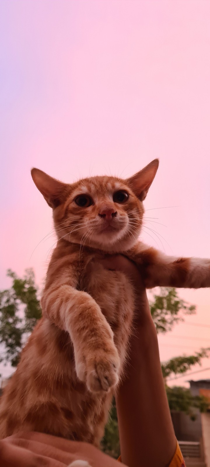 ~