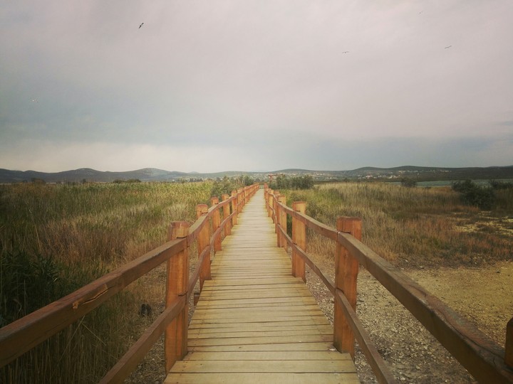 path