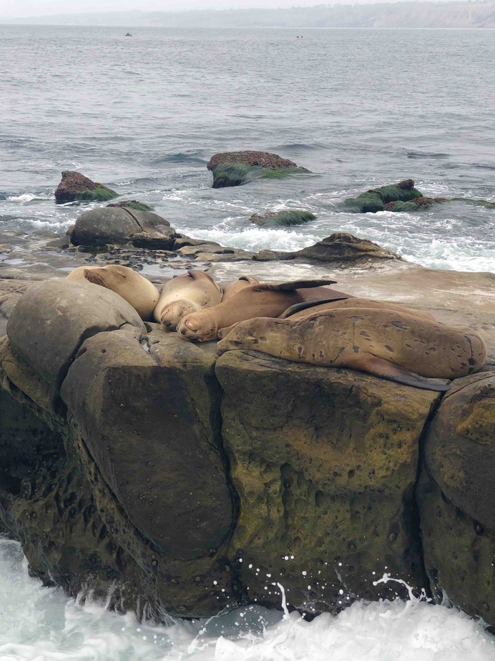 Descanso Marino