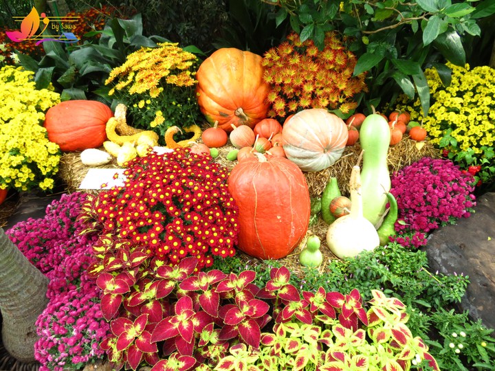 autumn