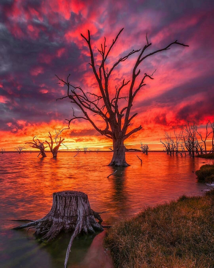 colourful skies