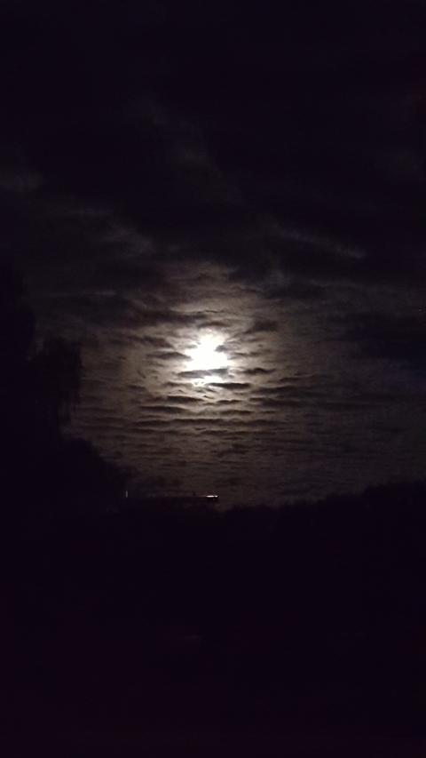 bad moon