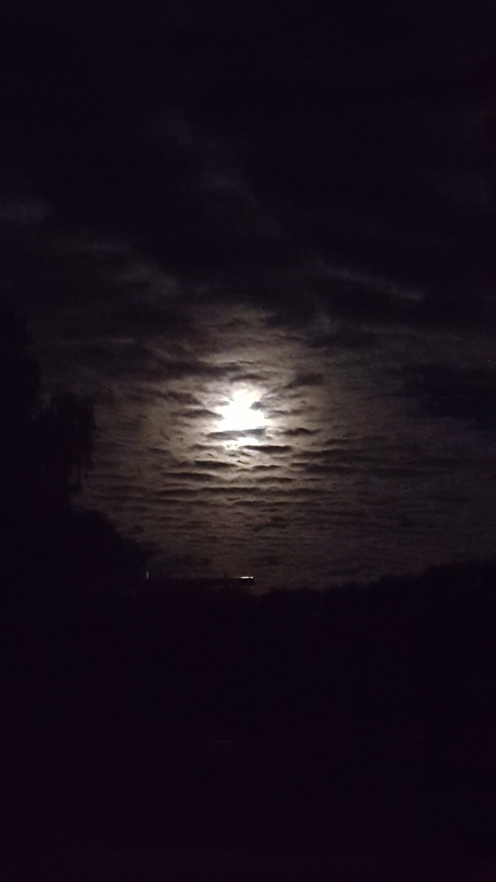 bad moon