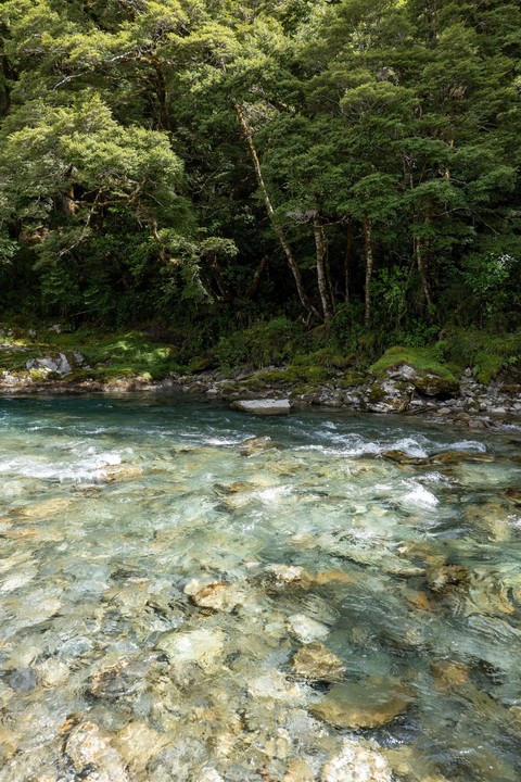 stream, Water Hintergrundbilder