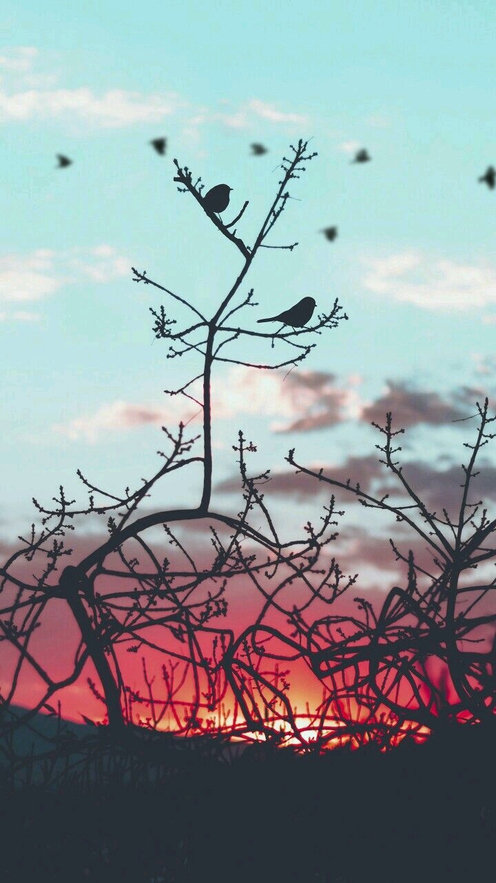 ☺☺