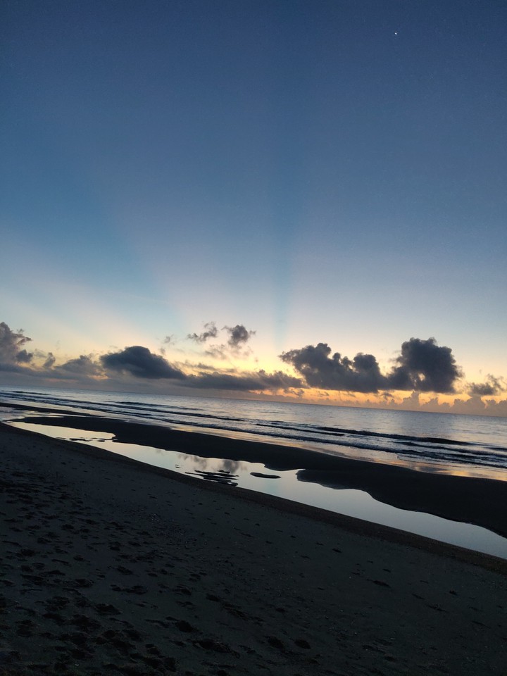 Morning rays