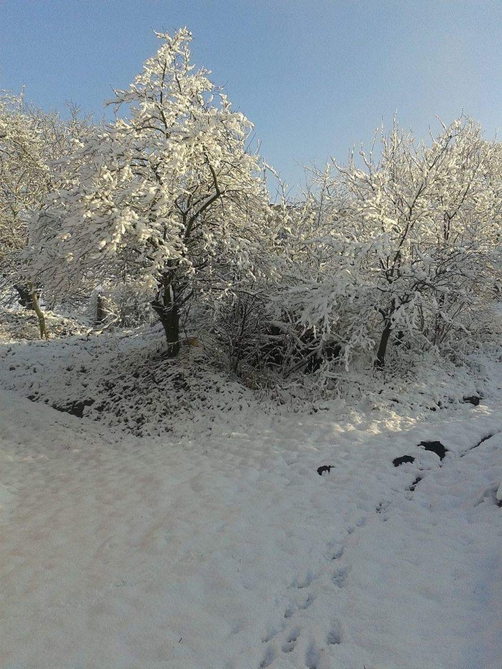 snow