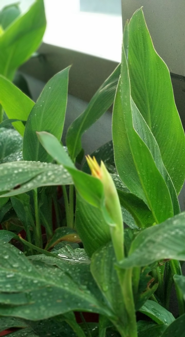 after rain