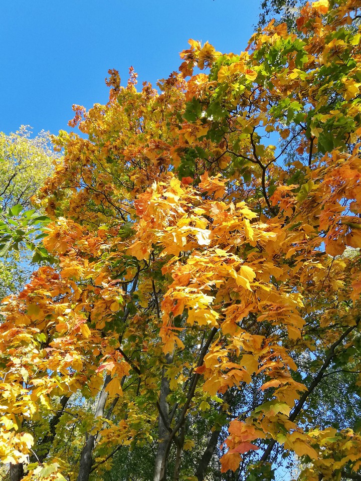 Golden time