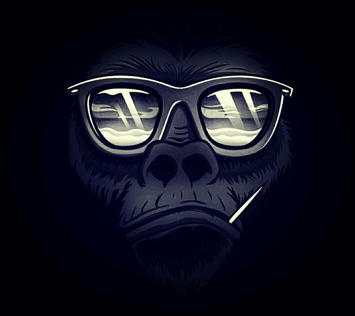 monkey