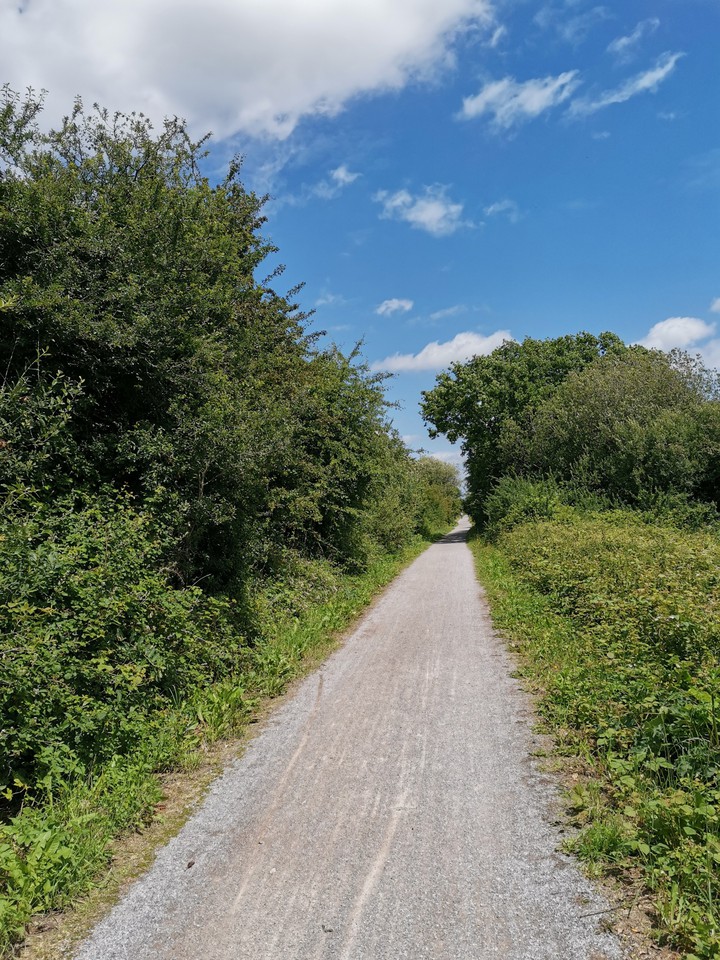 beautiful path