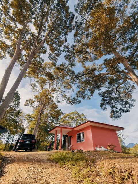 Orchard Hut