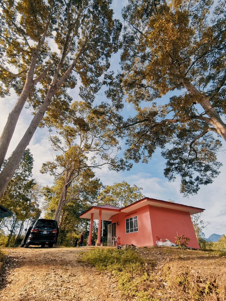 Orchard Hut