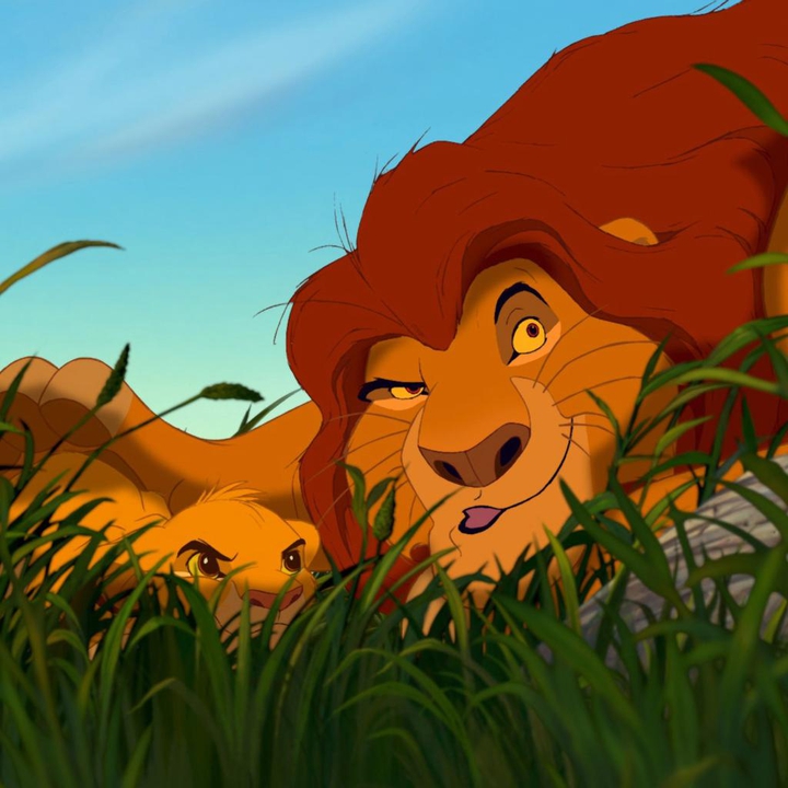 Le roi Lion ❤