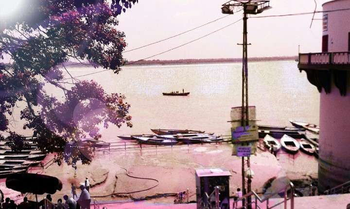 #Purple Riverbank