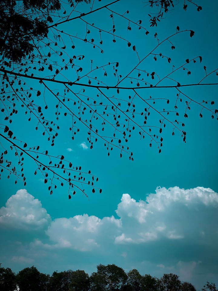 Ambient