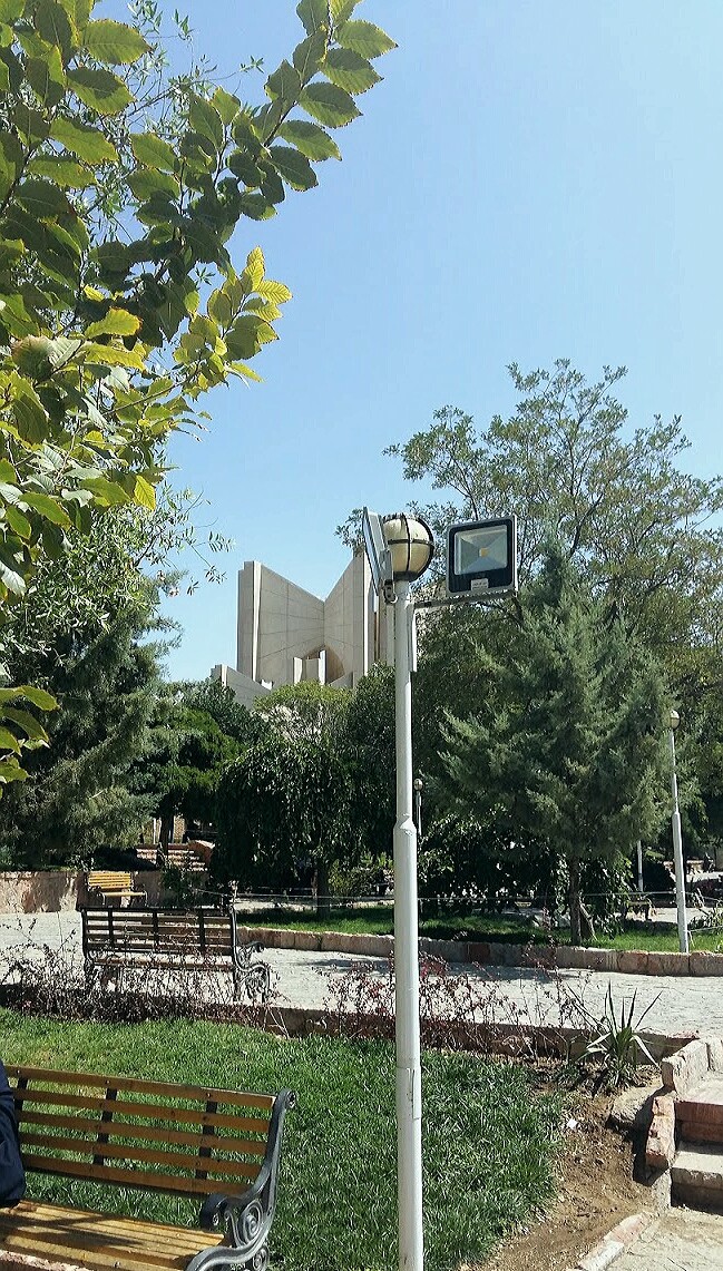 my city