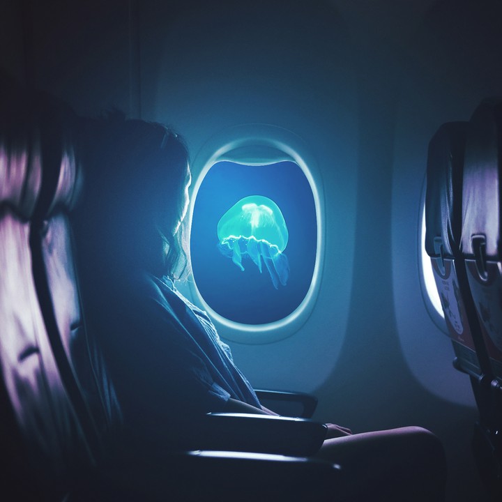 #cgi