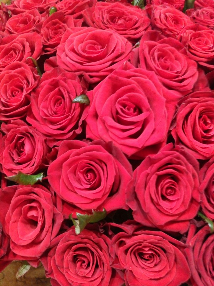 Flowers.