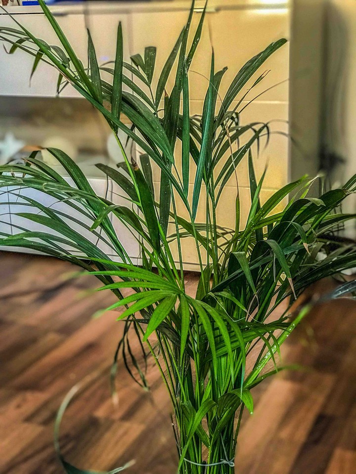 •••