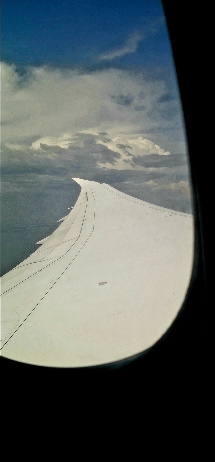 Plane