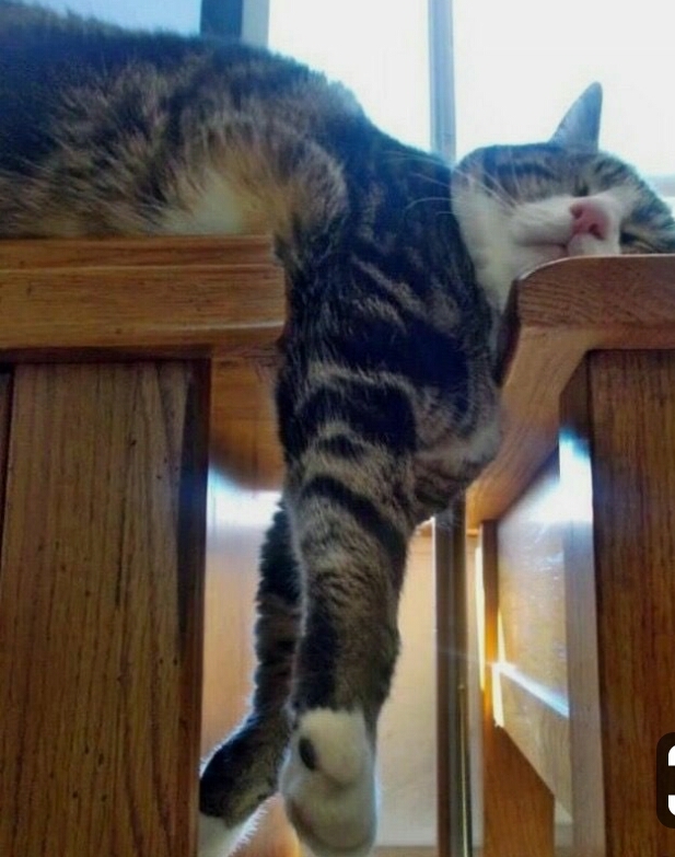 want to sleep