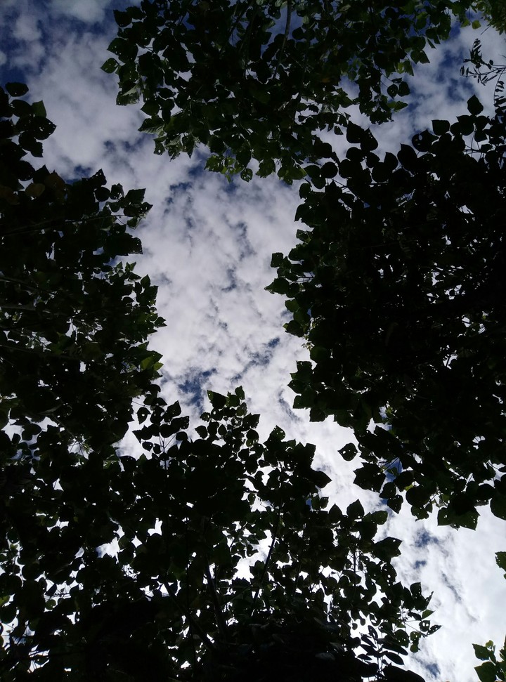 sky2