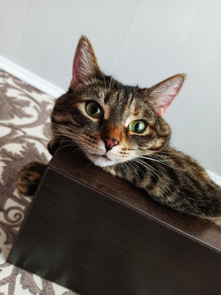 Eva
