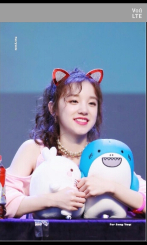 yuqi