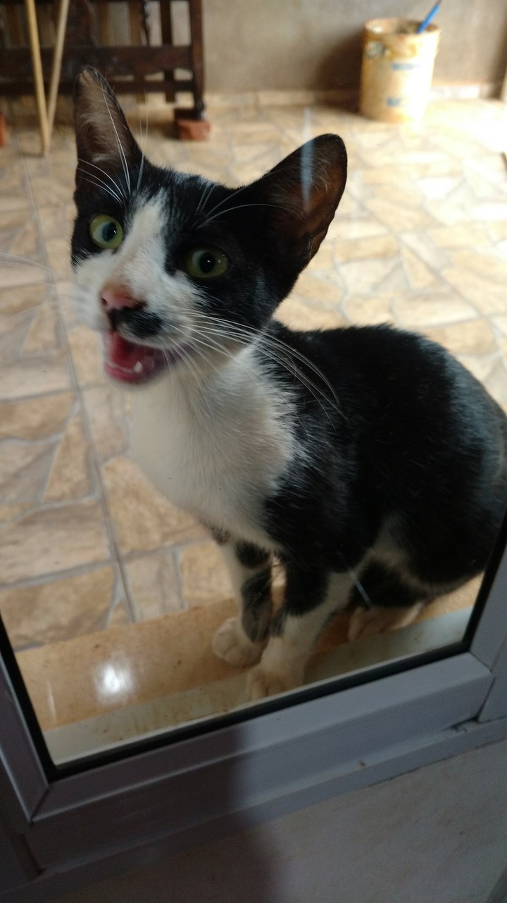 mili