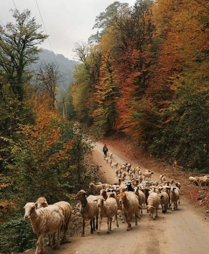 Talesh Village