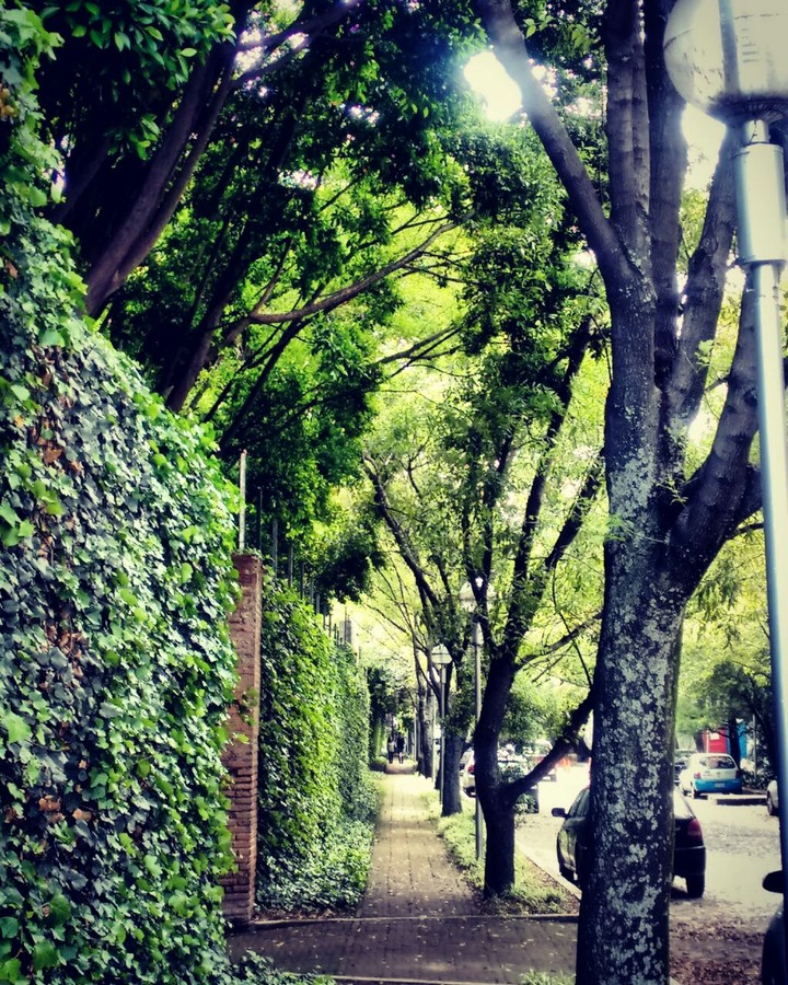 Sendero en la ciudad