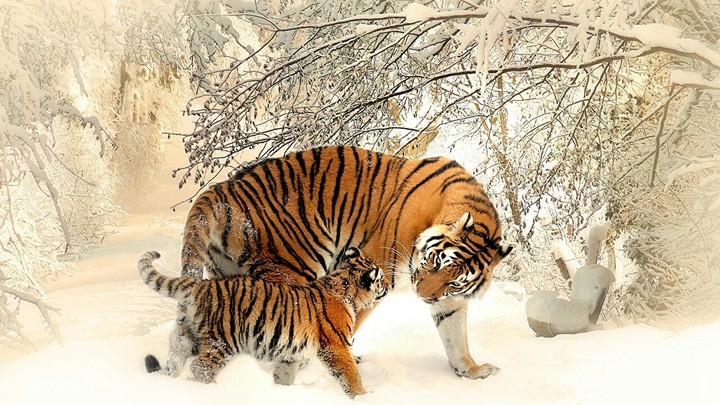 Mum & kid