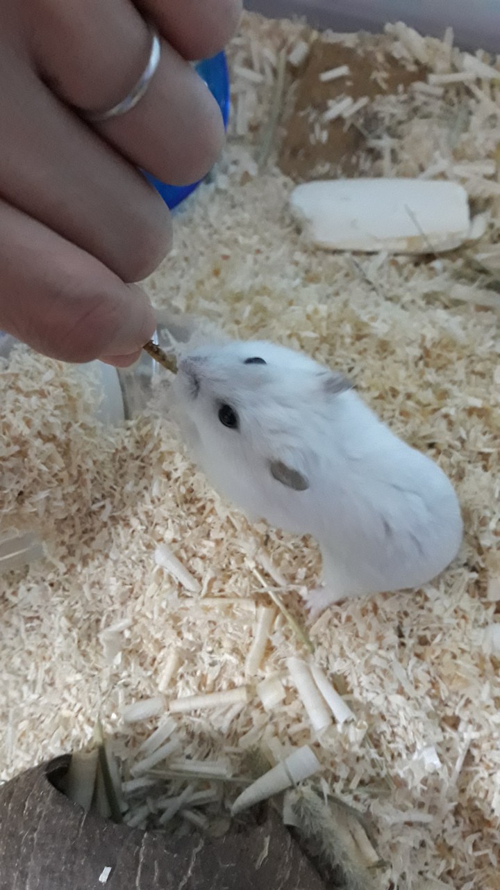 이건 내것이야!!!